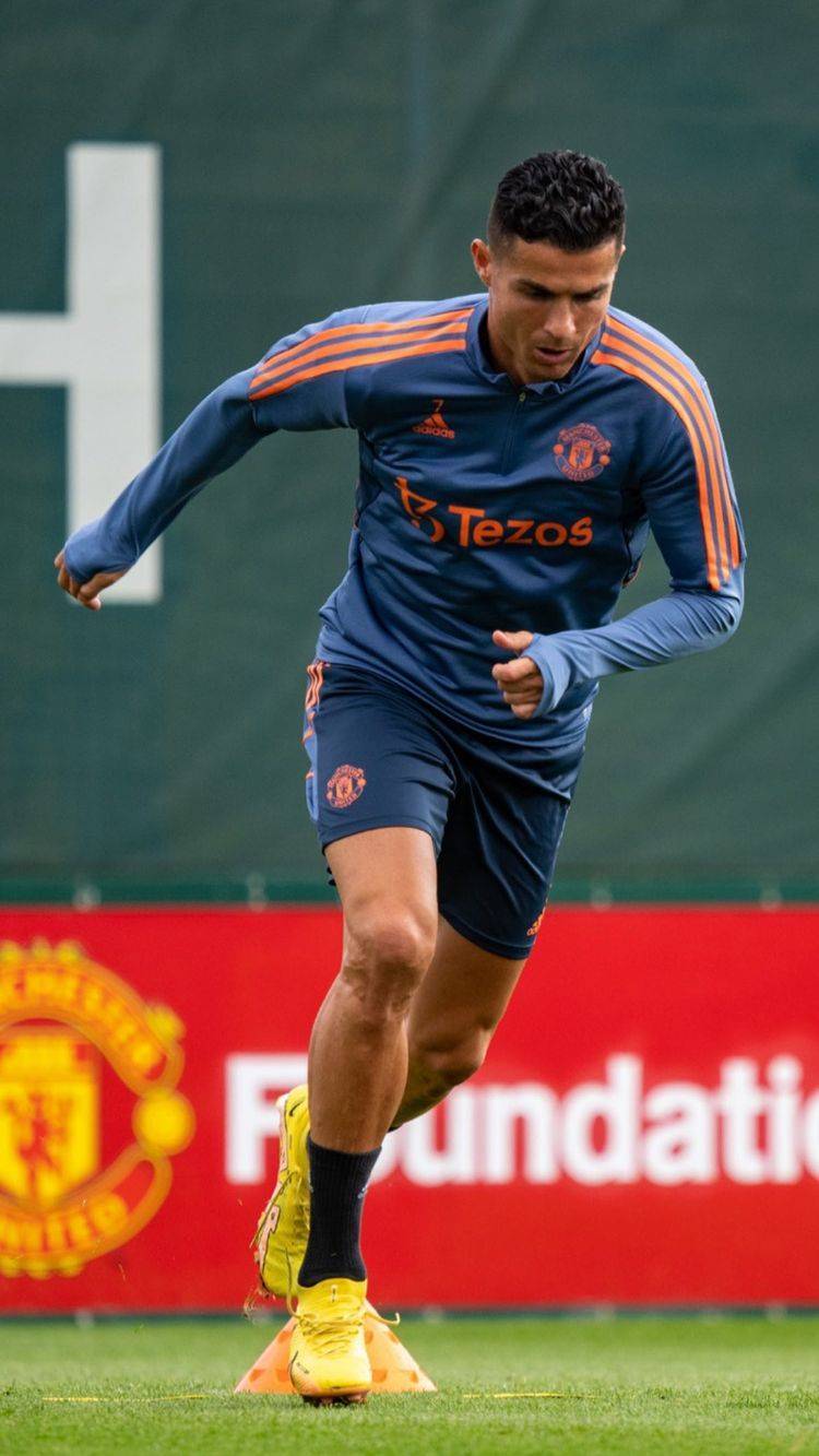 关于清晨体能课后，浙江队远射贴柱备战欧联，底气十足，更衣室氛围转暖的信息